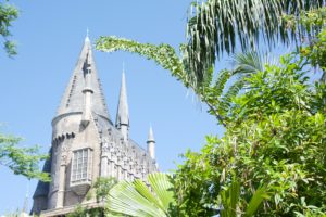 Harry Potter and the Forbidden Journey within the Wizarding World