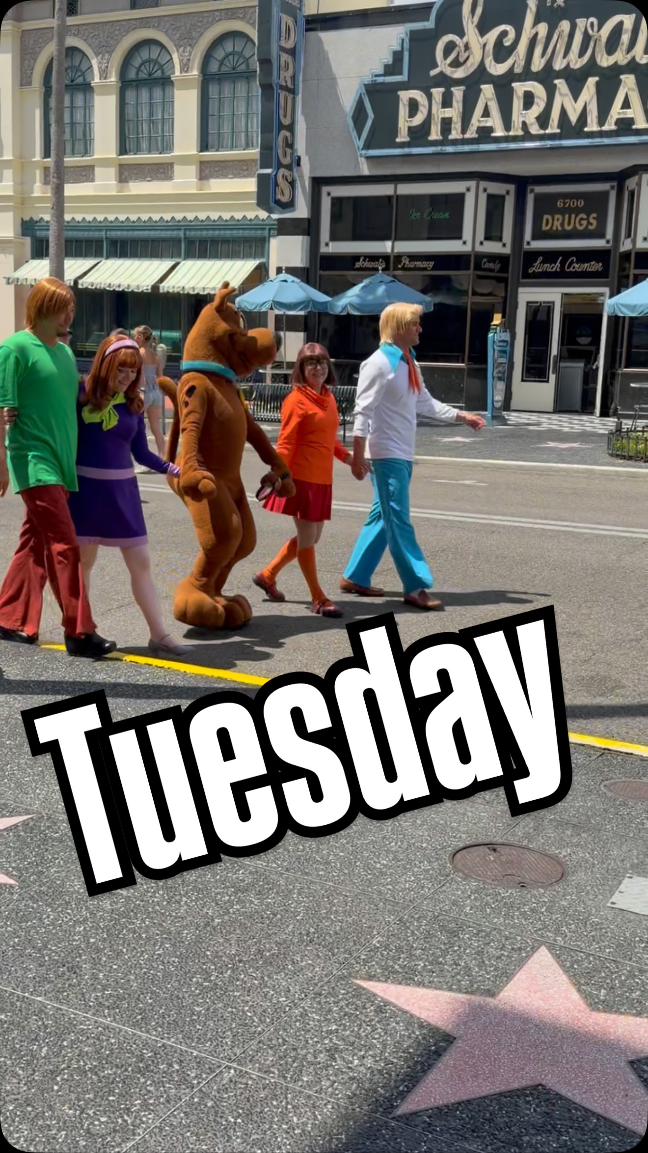 Just a normal Tuesday at @universalorlando 
-
#universalorlando #uoap #scoobydoo