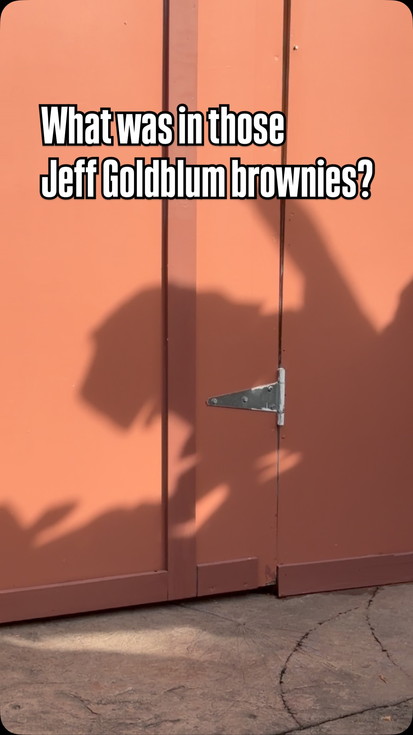I got one of those brownies with Jeff Goldblum on it at @universalorlando and now I’m seeing dinos everywhere. What was in that brownie?! 🦖
-
#jurassicpark #dinosaur #universalorlando