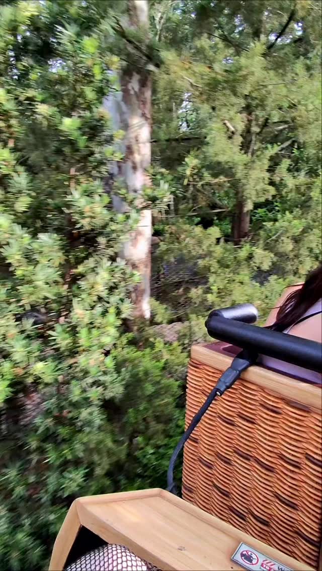 To the spire! Wait, that’s not right. My princess is in another castle? #harrypotter #universalorlando #hogwarts